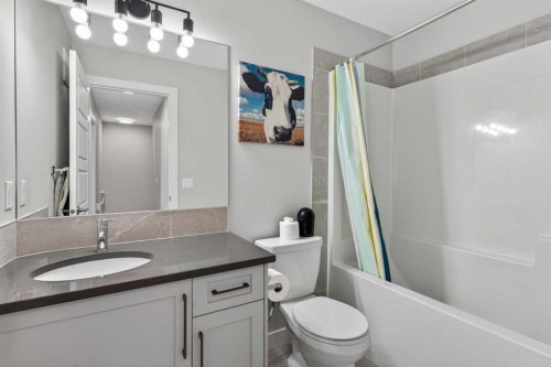 394 Sundown Road, Cochrane, AB - Indoor Photo Showing Bathroom
