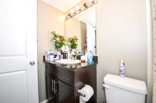 302-5 Saddlestone Way Ne, Calgary, AB - Indoor Photo Showing Bathroom