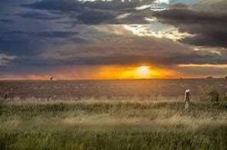 245039 Range Road 244 Rural Wheatland County, AB T1P 0M2