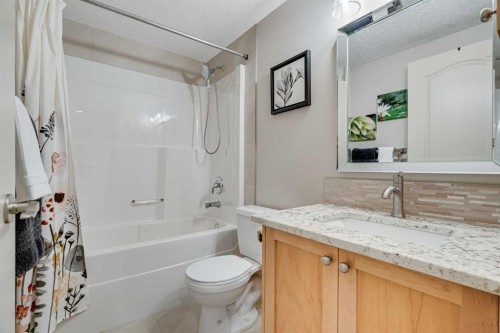 168 West Creek Landing, Chestermere, AB - Indoor Photo Showing Bathroom