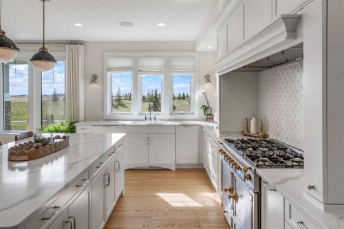 103 Brome Bend, Rural Rocky View County, AB - Indoor Photo Showing Kitchen With Upgraded Kitchen