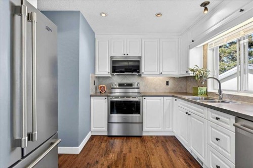 332 Whitney Crescent Se, Calgary, AB - Indoor Photo Showing Kitchen With Double Sink