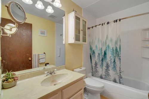 4623 31 Avenue Ne, Calgary, AB - Indoor Photo Showing Bathroom