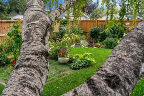 4623 31 Avenue Ne, Calgary, AB - Outdoor With Backyard