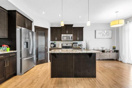 172 Sherwood Square Nw, Calgary, AB - Indoor Photo Showing Kitchen With Stainless Steel Kitchen With Upgraded Kitchen