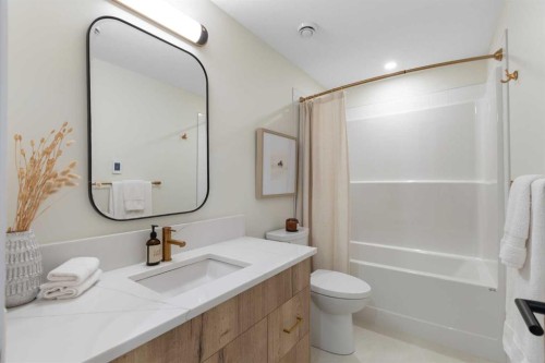 44 Alpine Common Sw, Calgary, AB - Indoor Photo Showing Bathroom