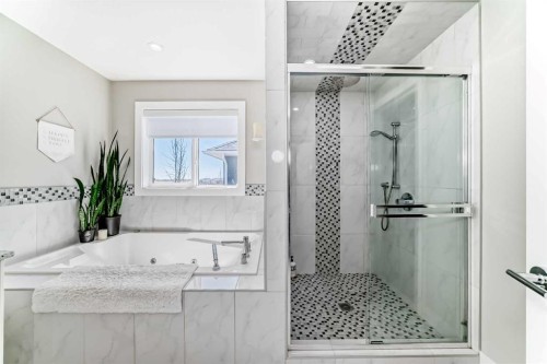114 Kinniburgh Road, Chestermere, AB - Indoor Photo Showing Bathroom
