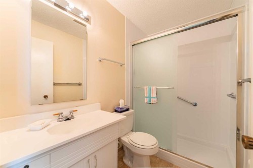 3320 Temple Road Ne, Calgary, AB - Indoor Photo Showing Bathroom