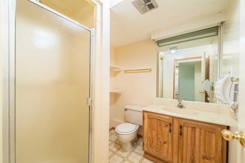 3320 Temple Road Ne, Calgary, AB - Indoor Photo Showing Bathroom