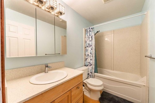 143 Erin Mount Place Se, Calgary, AB - Indoor Photo Showing Bathroom