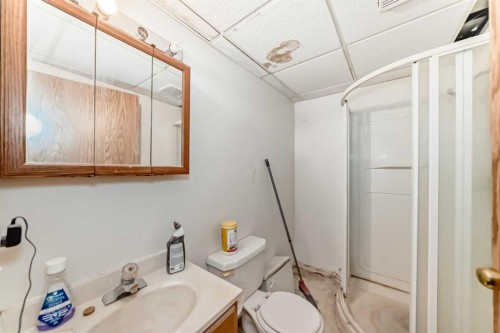 176 Woodside Road Nw, Airdrie, AB - Indoor Photo Showing Bathroom