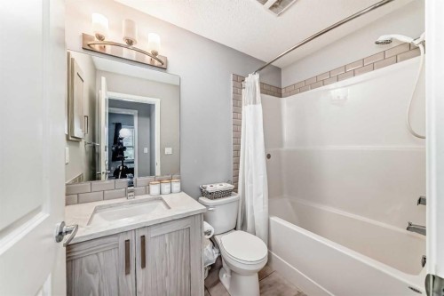 217-4350 Seton Drive Se, Calgary, AB - Indoor Photo Showing Bathroom