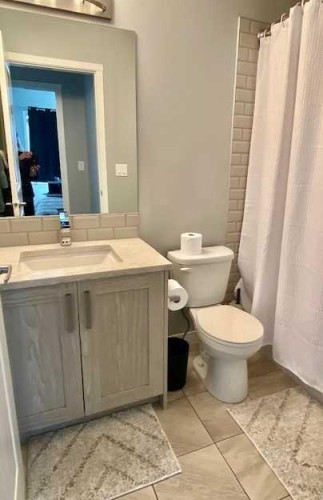 217-4350 Seton Drive Se, Calgary, AB - Indoor Photo Showing Bathroom