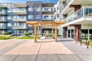 217-4350 Seton Drive Se, Calgary, AB  - Outdoor With Balcony With Facade 