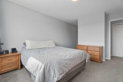 52 Saddlestone Drive Ne, Calgary, AB - Indoor Photo Showing Bedroom
