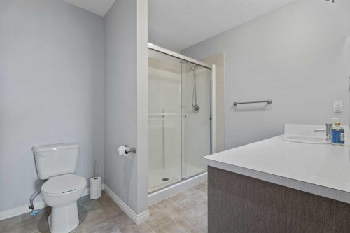 52 Saddlestone Drive Ne, Calgary, AB - Indoor Photo Showing Bathroom