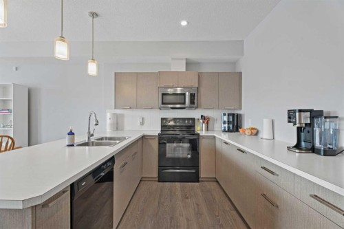 52 Saddlestone Drive Ne, Calgary, AB - Indoor Photo Showing Kitchen With Double Sink