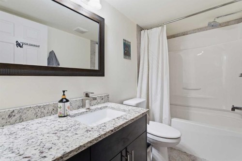 164 West Creek Green, Chestermere, AB - Indoor Photo Showing Bathroom