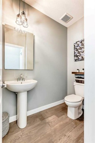 312 Auburn Shores Way Se, Calgary, AB - Indoor Photo Showing Bathroom