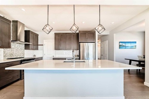 312 Auburn Shores Way Se, Calgary, AB - Indoor Photo Showing Kitchen With Stainless Steel Kitchen With Upgraded Kitchen