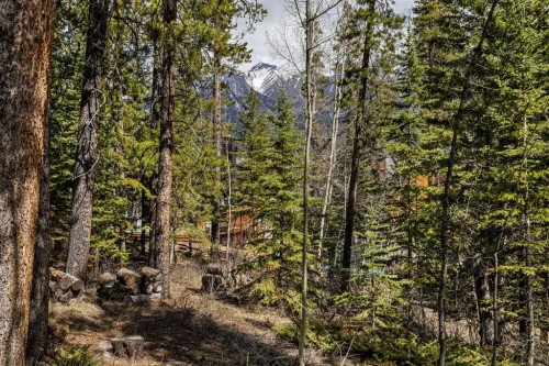 1054 Evergreen Circle, Canmore, AB - Outdoor With View