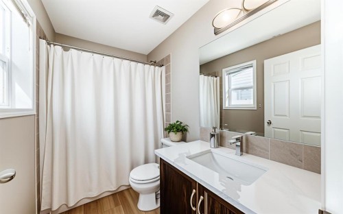 231 Saddlebrook Way Ne, Calgary, AB - Indoor Photo Showing Bathroom