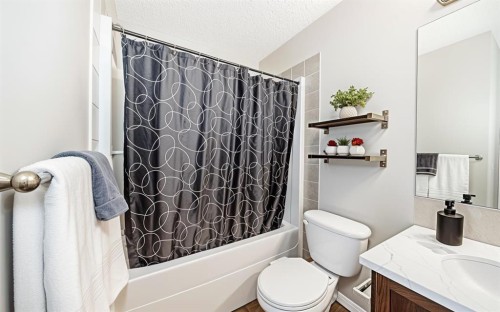 231 Saddlebrook Way Ne, Calgary, AB - Indoor Photo Showing Bathroom