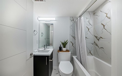 231 Saddlebrook Way Ne, Calgary, AB - Indoor Photo Showing Bathroom