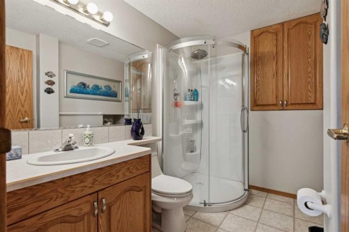 28 Westpoint Drive, Didsbury, AB - Indoor Photo Showing Bathroom