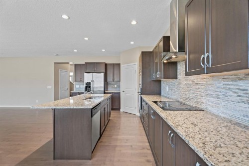 30 Redstone Parade Ne, Calgary, AB - Indoor Photo Showing Kitchen With Double Sink With Upgraded Kitchen