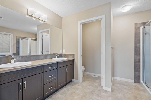 30 Redstone Parade Ne, Calgary, AB - Indoor Photo Showing Bathroom