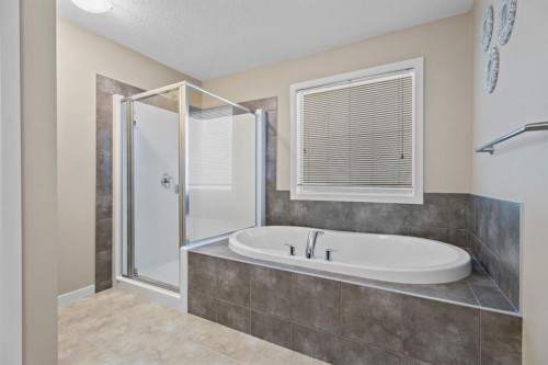 30 Redstone Parade Ne, Calgary, AB - Indoor Photo Showing Bathroom