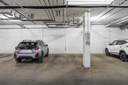 3403-33 Carringham Gate Nw, Calgary, AB - Indoor Photo Showing Garage