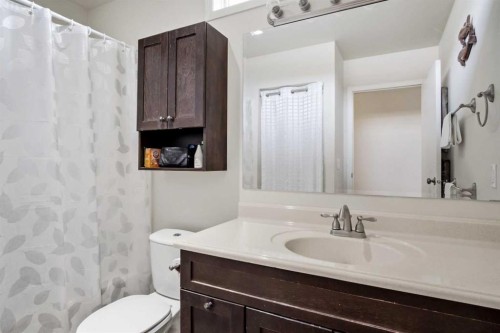 4306 55 Avenue, Olds, AB - Indoor Photo Showing Bathroom