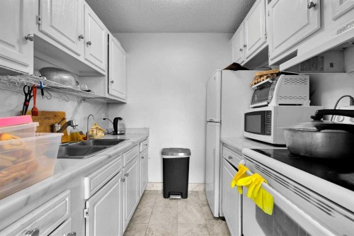 3-4543 7 Avenue Se, Calgary, AB - Indoor Photo Showing Kitchen With Double Sink