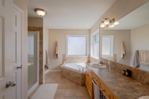 37 Royal Birch Close Nw, Calgary, AB - Indoor Photo Showing Bathroom