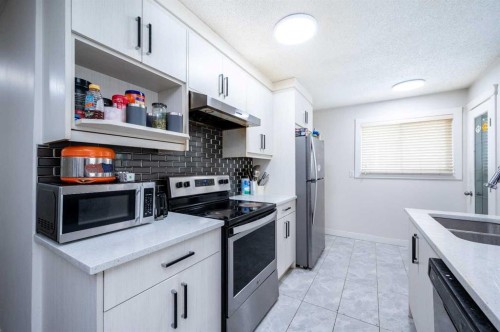 72 Faldale Close Ne, Calgary, AB - Indoor Photo Showing Kitchen With Stainless Steel Kitchen With Double Sink With Upgraded Kitchen