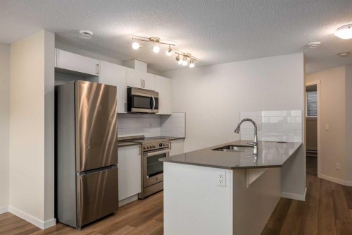 305 Cranbrook Square Se, Calgary, AB - Indoor Photo Showing Kitchen With Stainless Steel Kitchen With Upgraded Kitchen