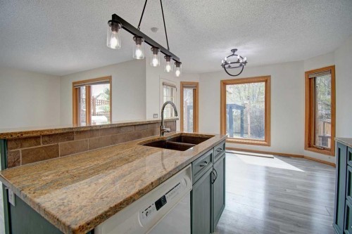 96 Cranfield Park Se, Calgary, AB - Indoor Photo Showing Kitchen With Double Sink