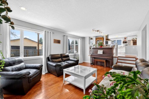 117 Bonitz Court, Carseland, AB - Indoor Photo Showing Living Room