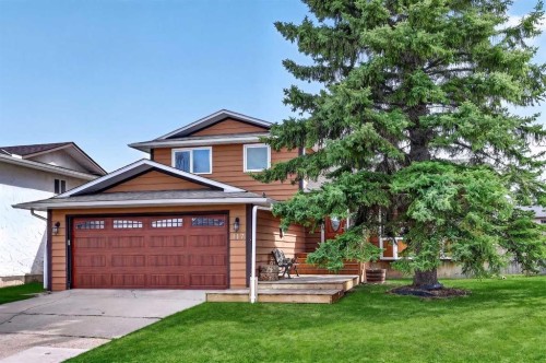 117 Bonitz Court, Carseland, AB - Outdoor