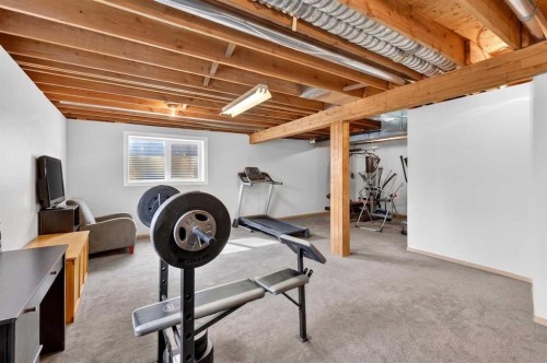 117 Bonitz Court, Carseland, AB - Indoor Photo Showing Basement