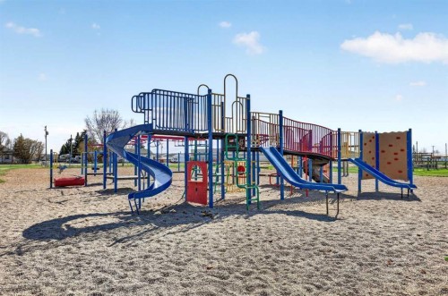 117 Bonitz Court, Carseland, AB - Outdoor