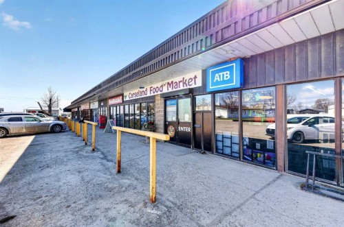 117 Bonitz Court, Carseland, AB - 