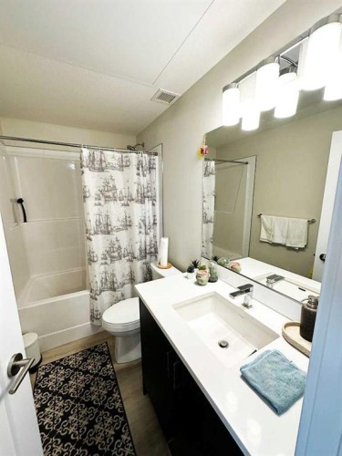 205-700 Shawnee Square Sw, Calgary, AB - Indoor Photo Showing Bathroom