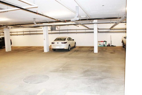 205-700 Shawnee Square Sw, Calgary, AB - Indoor Photo Showing Garage