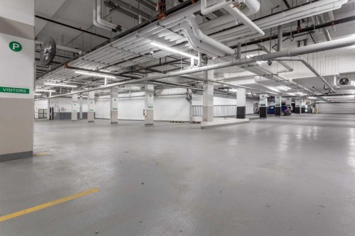 101-23 Mahogany Circle Se, Calgary, AB - Indoor Photo Showing Garage