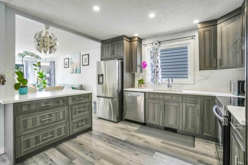 76 Aberfoyle Close Ne, Calgary, AB - Indoor Photo Showing Kitchen With Stainless Steel Kitchen With Upgraded Kitchen