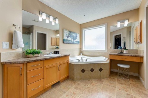 195 Willowmere Close, Chestermere, AB - Indoor Photo Showing Bathroom