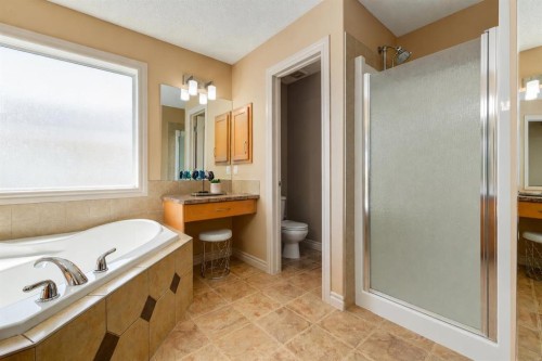 195 Willowmere Close, Chestermere, AB - Indoor Photo Showing Bathroom